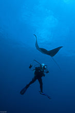 Load image into Gallery viewer, Donsol Whale Sharks, Ultimate Adventure, 4N, snorkel and dive with whale sharks + trek