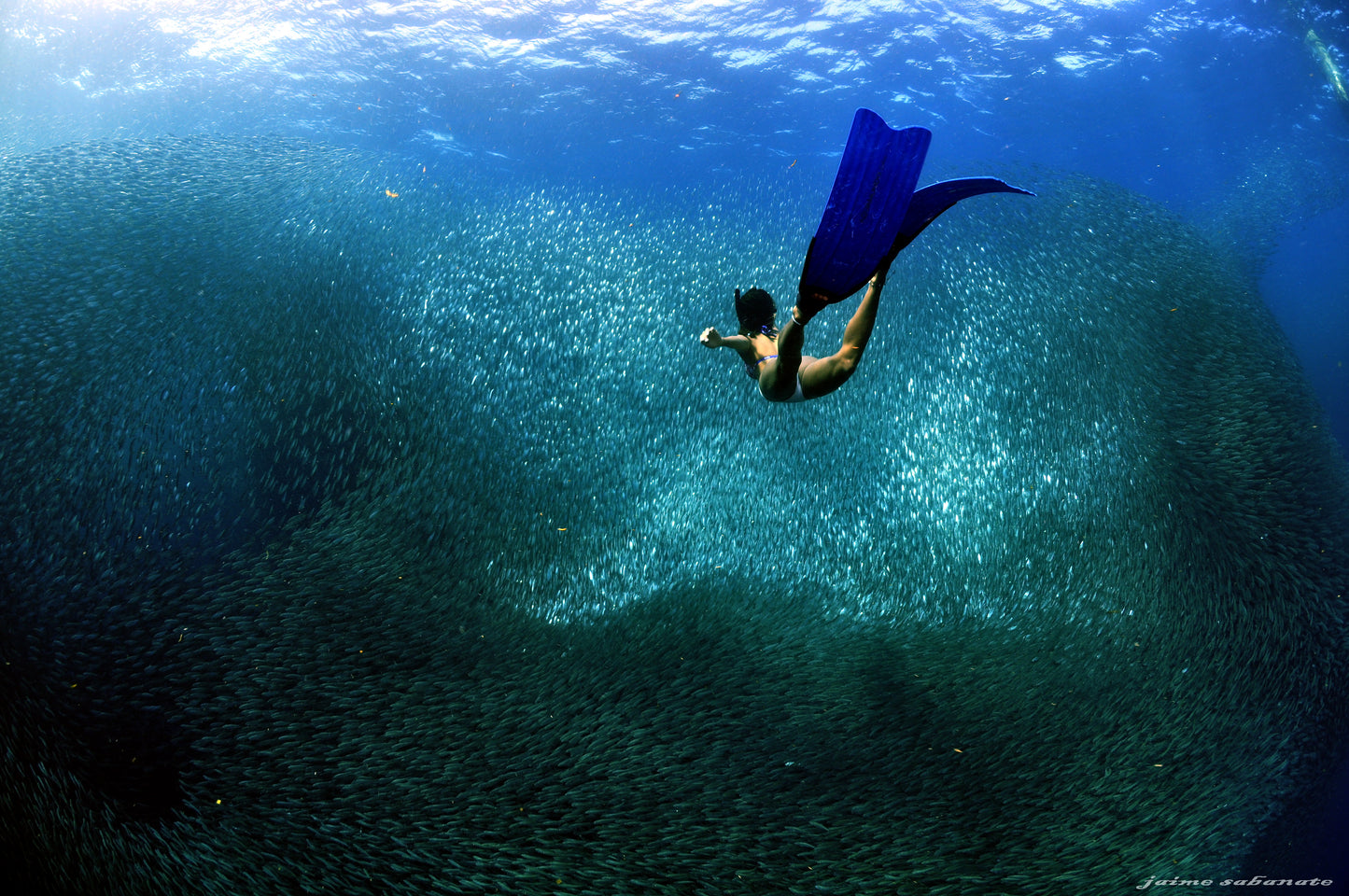 Moalboal Resort-Dive Package for 2 people, Cebu Seaview Resort