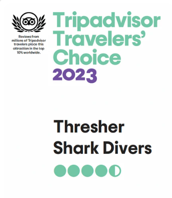 Tripadavisor Travelers' Choice Award 2023 Thresher Shark Divers Malapascua