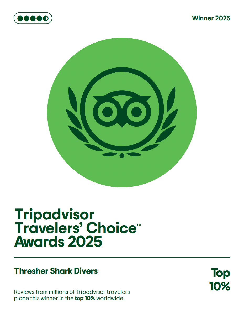 Tripadavisor Travelers' Choice Award 2025 Thresher Shark Divers Malapascua