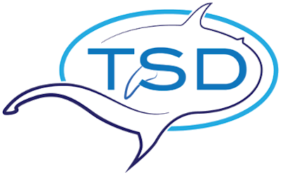 Thresher Shark Divers